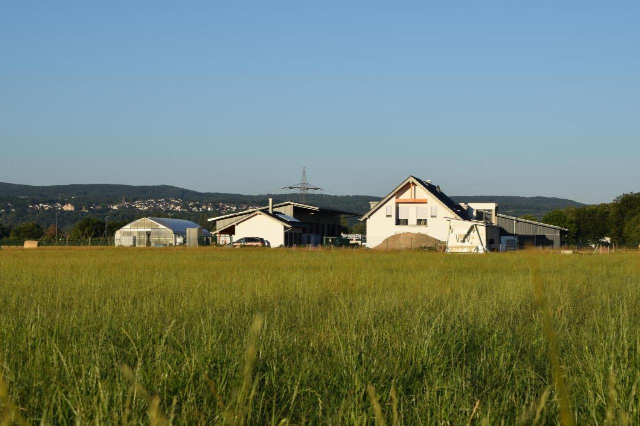 Einladende Ferienwohnung Auf Bauernhof In Sinzig Εξωτερικό φωτογραφία